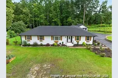 3419 Chris Cole Road, Sanford, NC 27332 - Photo 3