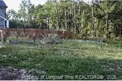 772 Roberts Road, Sanford, NC 27332 - Photo 31
