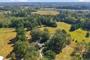 5199 Tobacco Rd, Orrum, NC 28369 - Photo 5