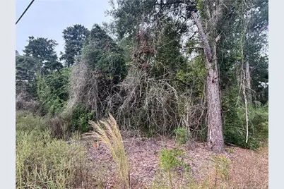 Pelt Drive, Fayetteville, NC 28301 - Photo 11