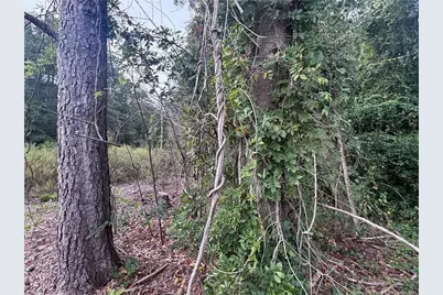 Pelt Drive, Fayetteville, NC 28301 - Photo 13