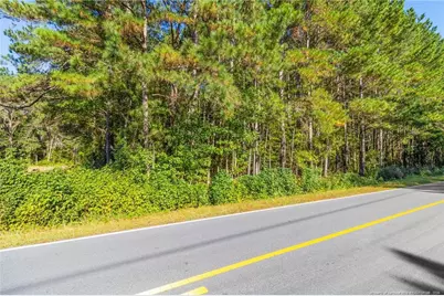 Tbd Emma Jane Road, Saint Pauls, NC 28384 - Photo 3