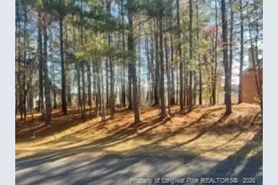 847 Seagull Drive, Vass, NC 28394 - Photo 5