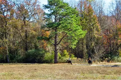 1870 McCormick Road, Sanford, NC 27332 - Photo 27