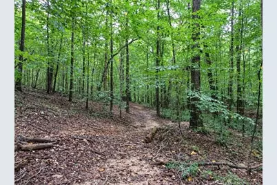 6700 Cass Holt Road, Holly Springs, NC 27540 - Photo 3