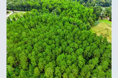 Tbd @ 6 Acres Swanns Station Road, Sanford, NC 27332 - Photo 5