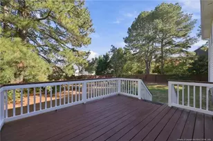 90 Canyon Ct, Sanford, NC 27332 - Photo 33