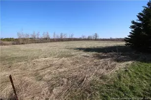 49 Lookout Point, Sanford, NC 27332 - Photo 7