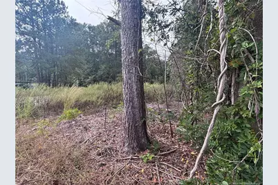 Pelt Drive, Fayetteville, NC 28301 - Photo 13