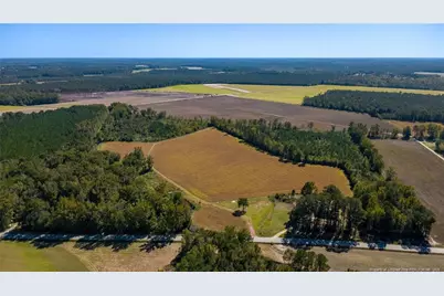 0 Carl Freeman Road, Stedman, NC 28391 - Photo 3