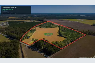 0 Carl Freeman Road, Stedman, NC 28391 - Photo 1