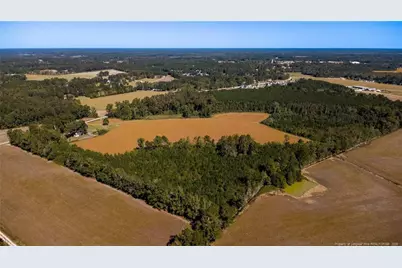 0 Carl Freeman Road, Stedman, NC 28391 - Photo 7