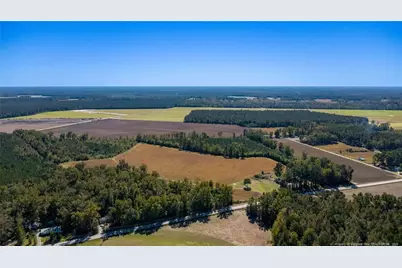 0 Carl Freeman Road, Stedman, NC 28391 - Photo 5