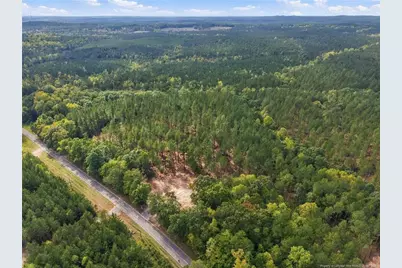 Lot 3 Capelsie Road, Candor, NC 27229 - Photo 5