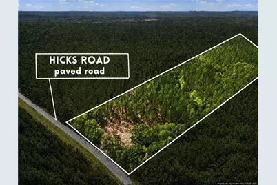 Lot 3 Capelsie Road, Candor, NC 27229 - Photo 3