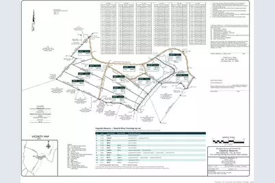 Lot 3 Capelsie Road, Candor, NC 27229 - Photo 7