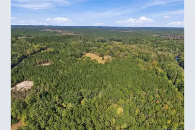 Lot 6 Capelsie Road, Candor, NC 27229 - Photo 7