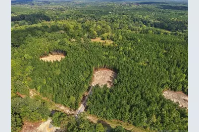Lot 6 Capelsie Road, Candor, NC 27229 - Photo 5