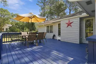190 Firetree Ln, West End, NC 27376 - Photo 47