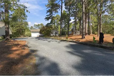 190 Firetree Lane, West End, NC 27376 - Photo 3