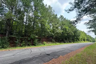 382 Alston Horton Service Rd, Pittsboro, NC 27312 - Photo 1