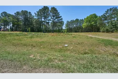 510 Carys Lane, West End, NC 27376 - Photo 1