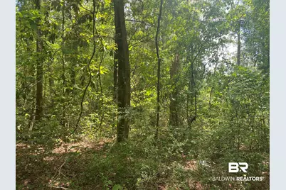 0 Bear Fork Road, Mobile, AL 36618 - Photo 3