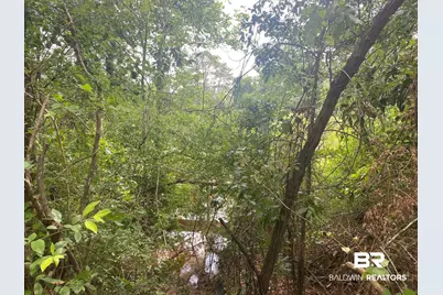 0 Bear Fork Road, Mobile, AL 36618 - Photo 5