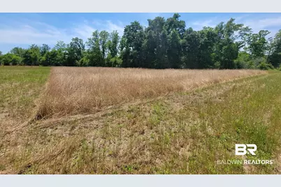 0 Back Forty Lane, Foley, AL 36535 - Photo 1