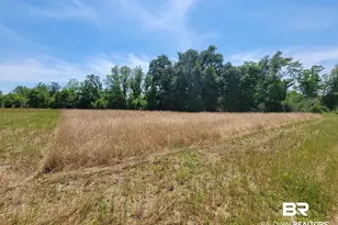 0 Back Forty Ln, Foley, AL 36535 - Photo 1