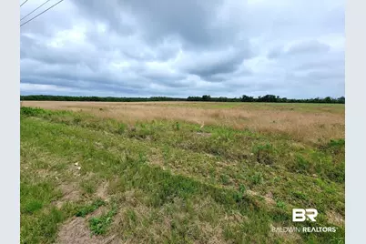 0 County Road 16, Foley, AL 36535 - Photo 3
