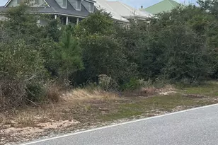 32438 River Rd, Orange Beach, AL 36561 - Photo 1