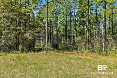 0 Nokomis Road, Walnut Hill, FL 32568 - Photo 15