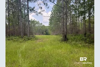 0 Nokomis Road, Walnut Hill, FL 32568 - Photo 25