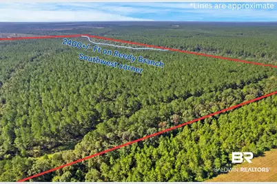 0 Nokomis Road, Walnut Hill, FL 32568 - Photo 11