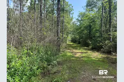 0 Nokomis Road, Walnut Hill, FL 32568 - Photo 23