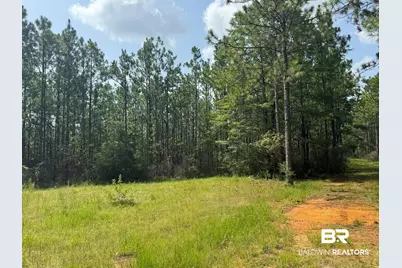 0 Nokomis Road, Walnut Hill, FL 32568 - Photo 17