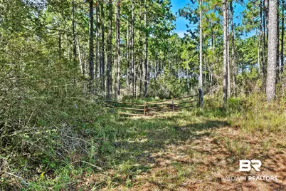 0 Nokomis Road, Walnut Hill, FL 32568 - Photo 3