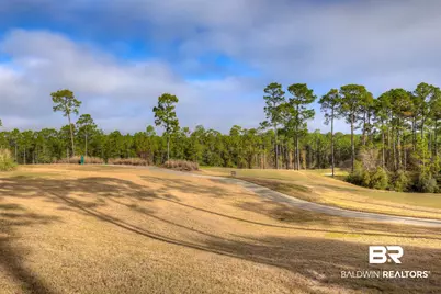 33760 Steelwood Ridge Road #2, Loxley, AL 36551 - Photo 11