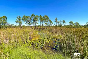 6851 Lakeshore Dr, Gulf Shores, AL 36542 - Photo 37