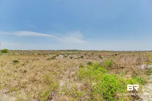 26750 Perdido Beach Blvd, Orange Beach, AL 36561 - Photo 55