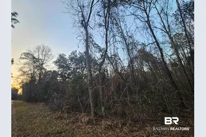 0 Lee Road, Robertsdale, AL 36567 - Photo 1