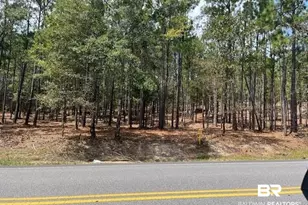 0 State Hwy 225, Spanish Fort, AL 36527 - Photo 1