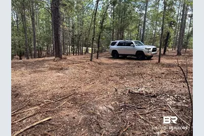 0 State Highway 225, Spanish Fort, AL 36527 - Photo 3