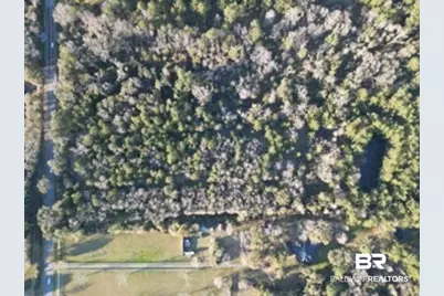 0 County Road 65, Foley, AL 36535 - Photo 3