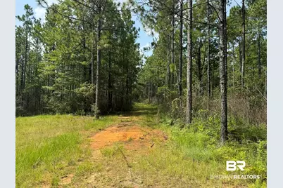 0 Nokomis Road, Walnut Hill, FL 32568 - Photo 19
