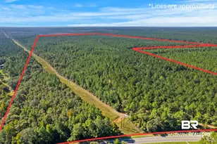 0 Nokomis Rd, Walnut Hill, FL 32568 - Photo 1