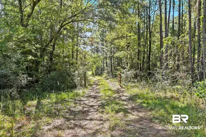 0 Nokomis Road, Walnut Hill, FL 32568 - Photo 13