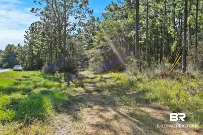 0 Nokomis Road, Walnut Hill, FL 32568 - Photo 11