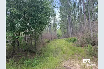 0 Nokomis Road, Walnut Hill, FL 32568 - Photo 29